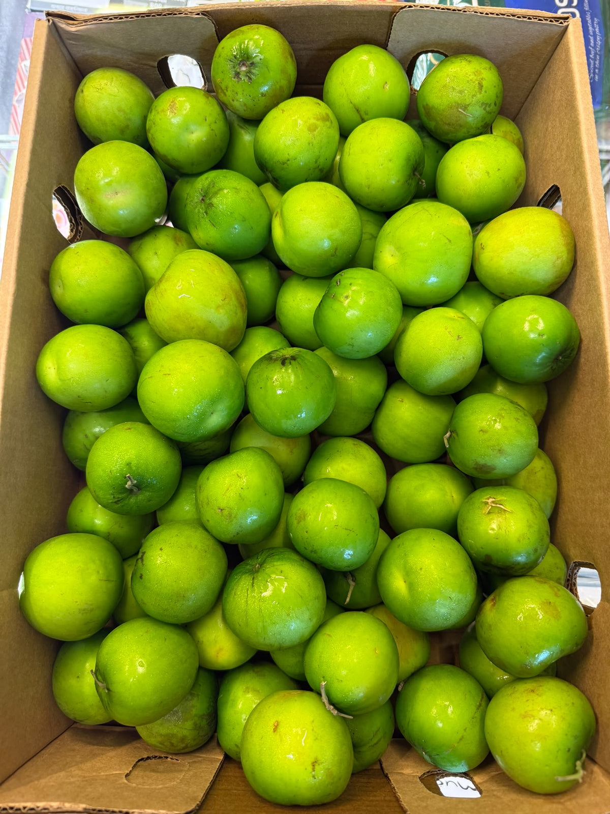 Apple boroi 1kg