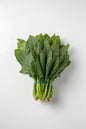 Spinach 1 bunch