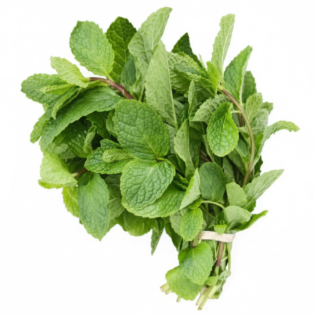 Mint