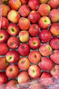 Apple pink lady 1kg