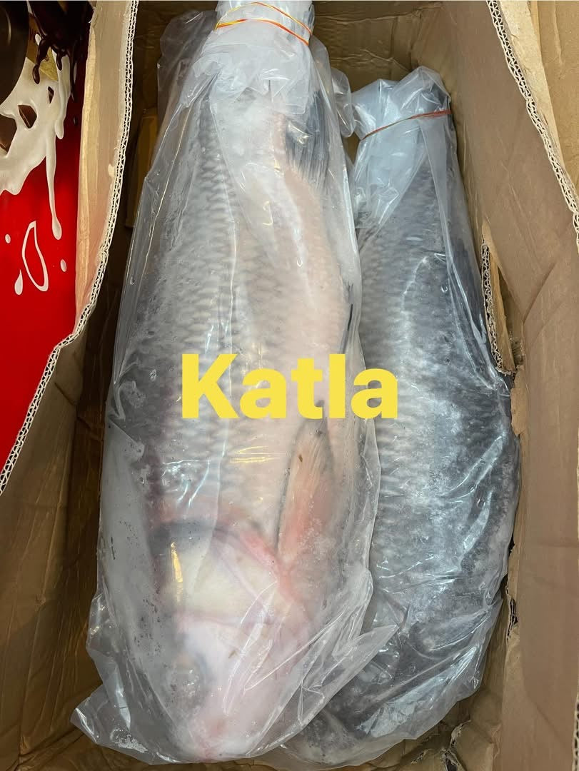 Katla fish in cut 5kg +++