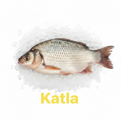 Katla fish in cut 5kg +++