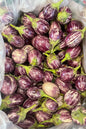 Bringal mini purple 1kg