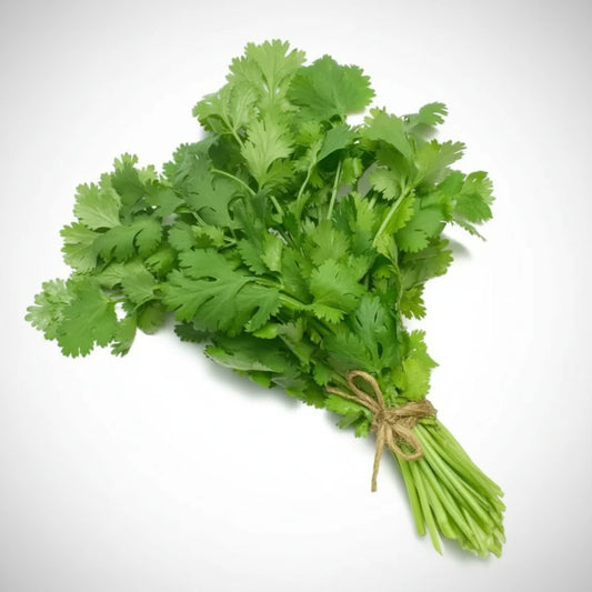 Coriander