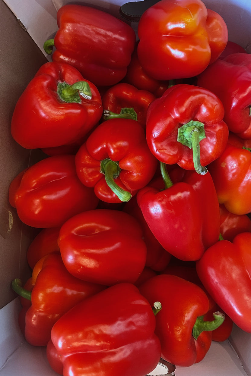 Paprika red 1 kg