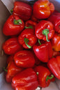Paprika red 1 kg