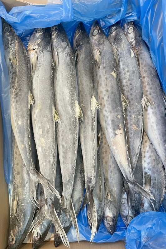 Whole king fish 1kg