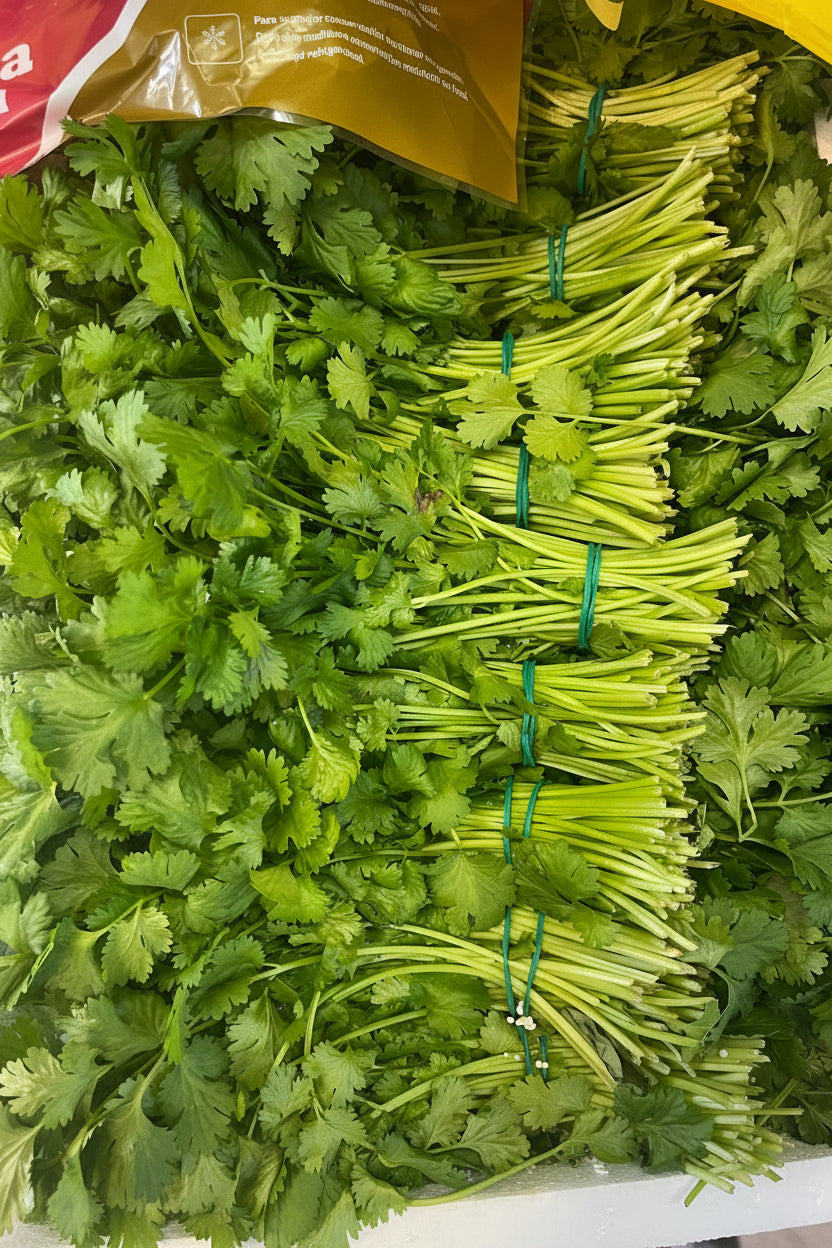 Coriander 1 bunch