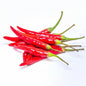 Red chilli