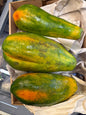 Yellow fruit papaya