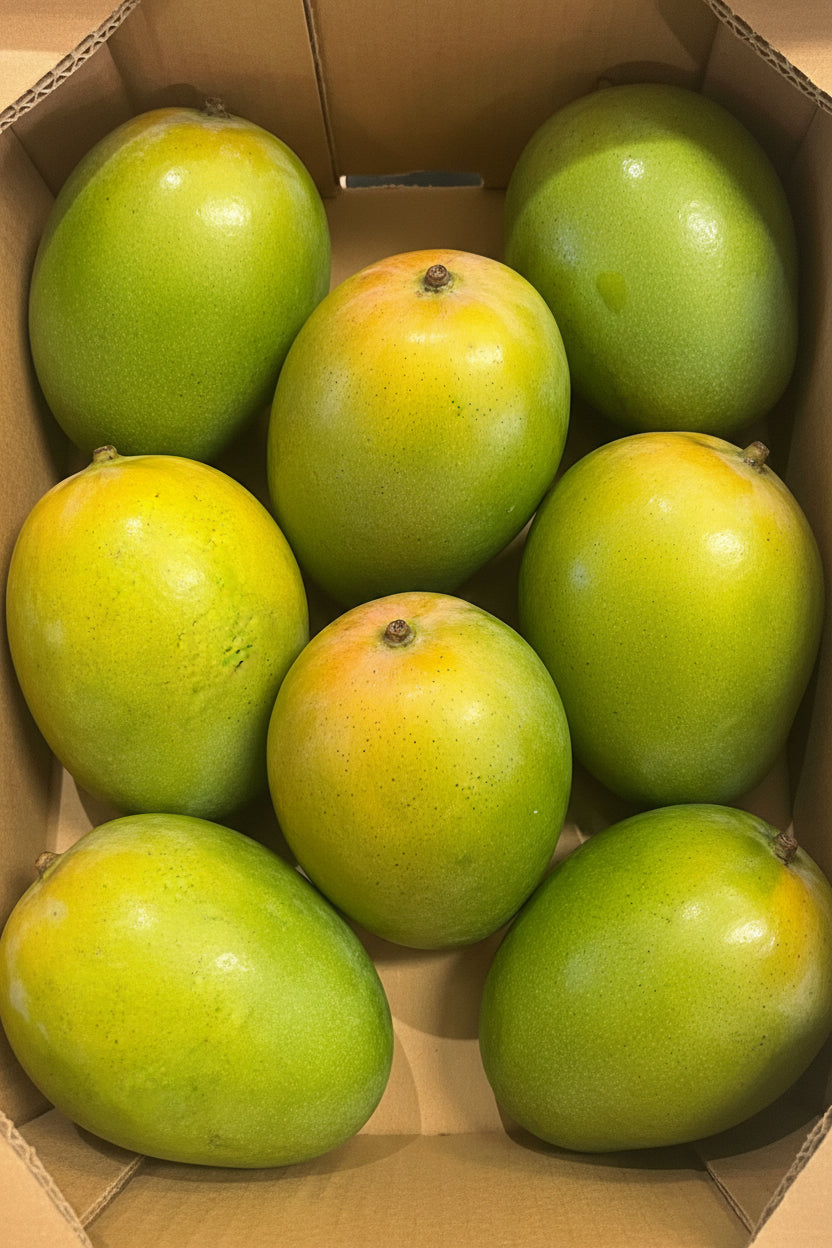 Mango Brazil 1 pc