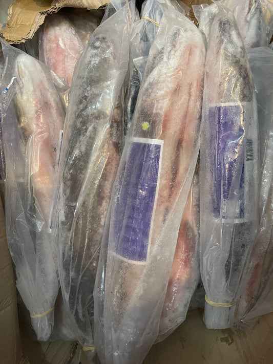 Shoil fish whole 1kg ++