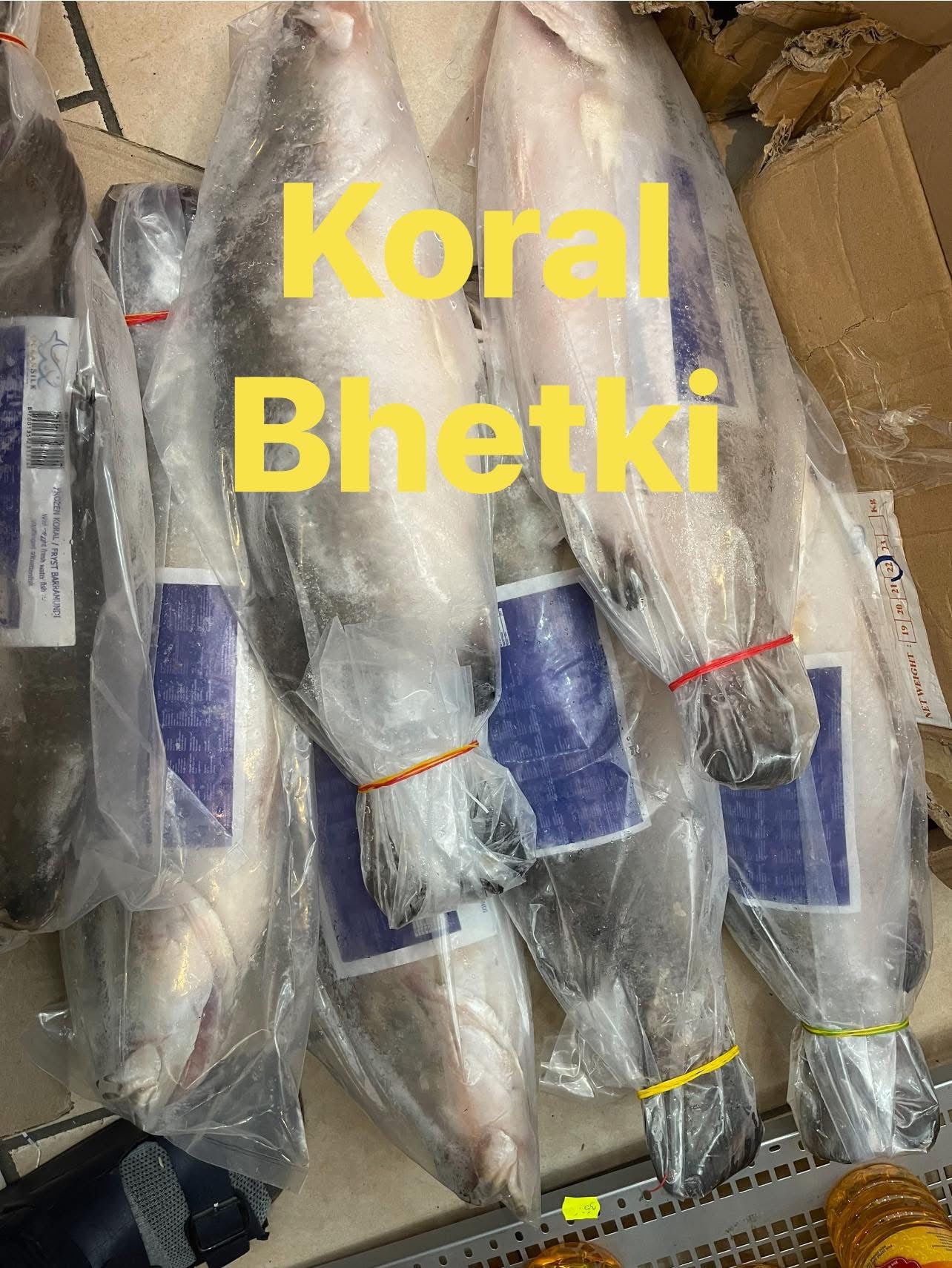 Koral / bhetki/ Barramundi 2.5 kg +++