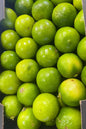 Lime 3pcs