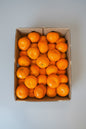 Orange / clementine 1kg