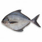 Black Pomfret/Zobeidi 1kg