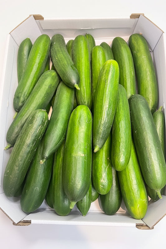 Gurka mini 1 kg ( cucumber)