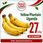 Plantin yellow 1kg Uganda