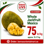 Riped jackfruit sweet 15~17kg