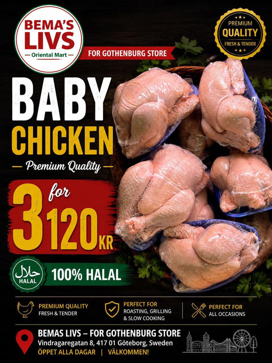 Baby chicken 3 pcs