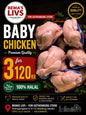 Baby chicken 3 pcs